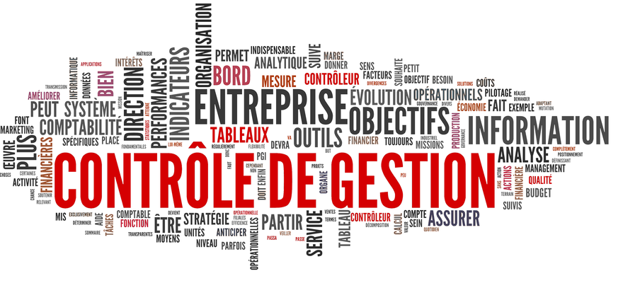 Conseil en gestion et développement - Alian Expertise
