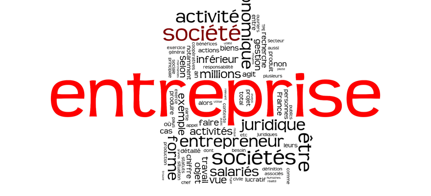 Juridique - Alian Expertise
